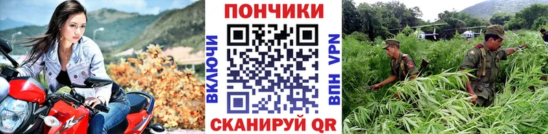 Купить закладку Гашиш  NBOMe  A-PVP  Меф мяу мяу  Cocaine  Конопля  Жуков