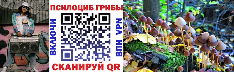 Купить  Жуков  Галлюциногенные грибы мицелий 